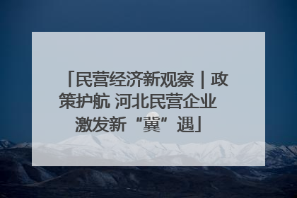 民营经济新观察｜政策护航 河北民营企业激发新“冀”遇
